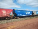 RUMO HTT-351982-1